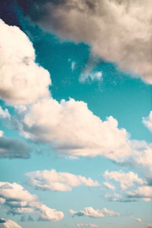 Beneath a steel blue sky