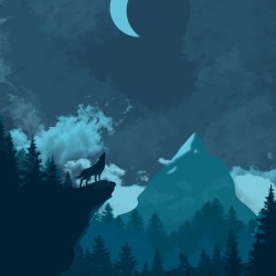 Mountain Wolf Night