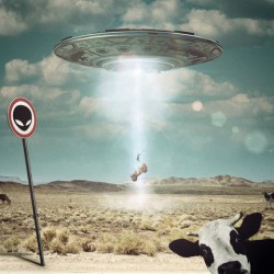 Unexpected Travel 3