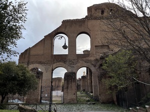 IMG 3793