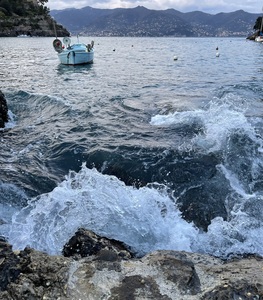 Harbor Portifino