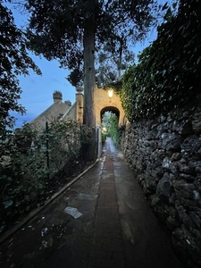 Evening stroll Portifino