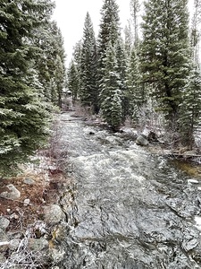 Winter Stream