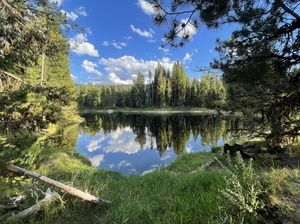 The Fishing Pond