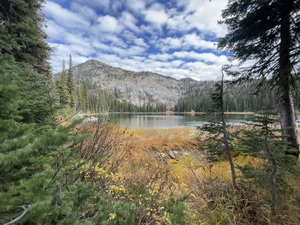 IMG 8546