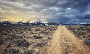 Life Road