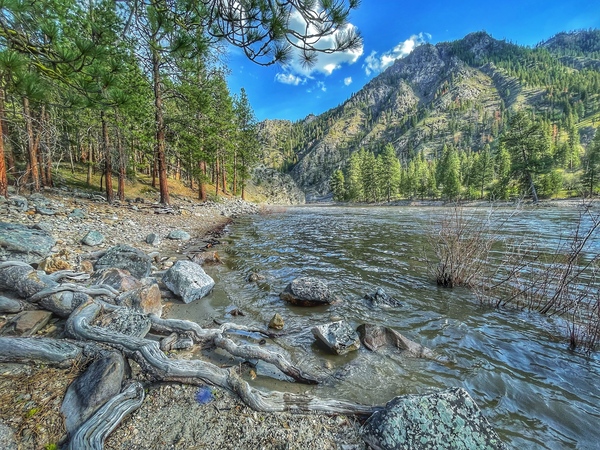 Down river Shoup Print