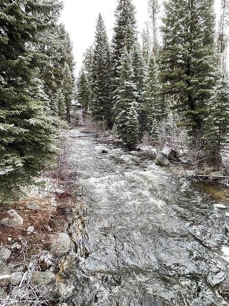Winter Stream Print