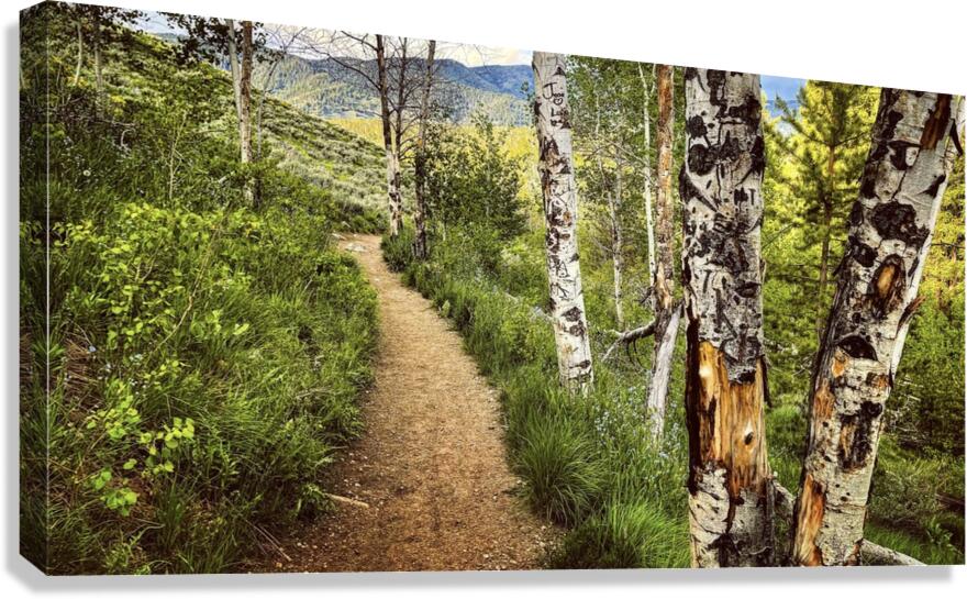 Out There Canvas Print