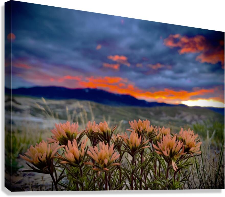 Salmon Spring Canvas Print
