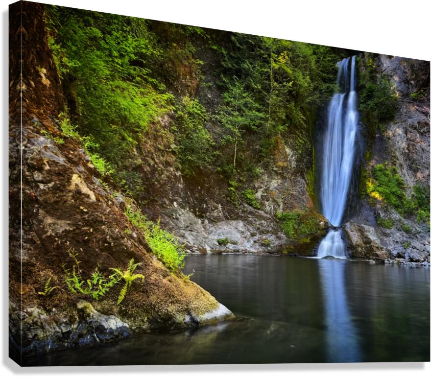 Explorations Canvas Print