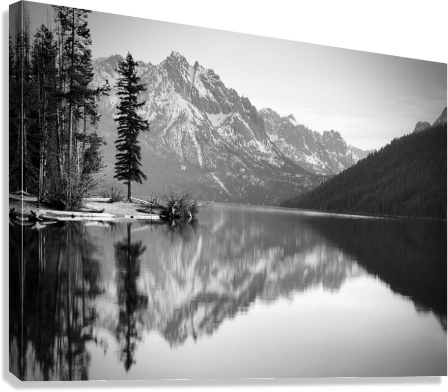 Lone Tree BW Canvas Print