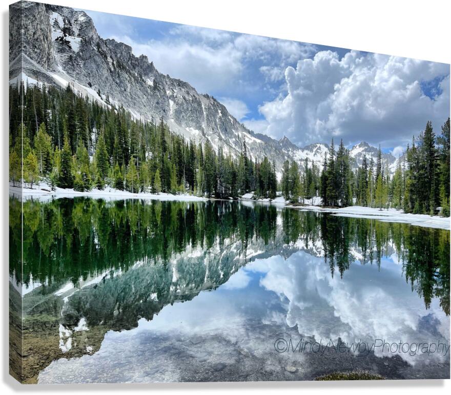 A Thrill Canvas Print