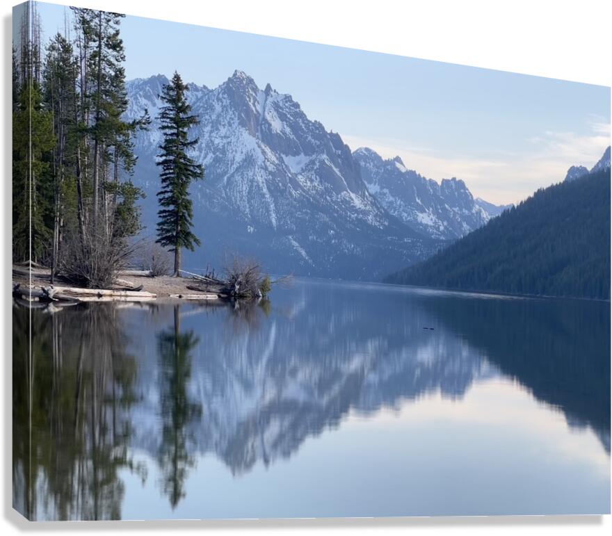 Lone Tree Canvas Print