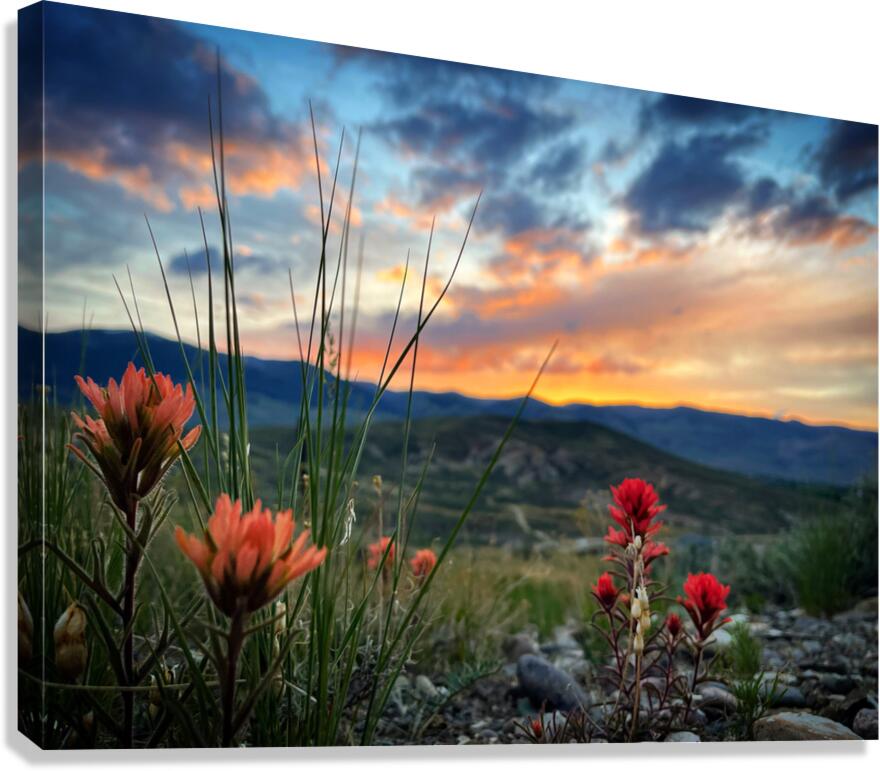 Little Things Canvas Print