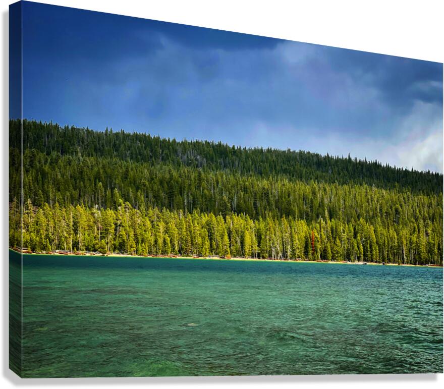 Dreaming Canvas Print
