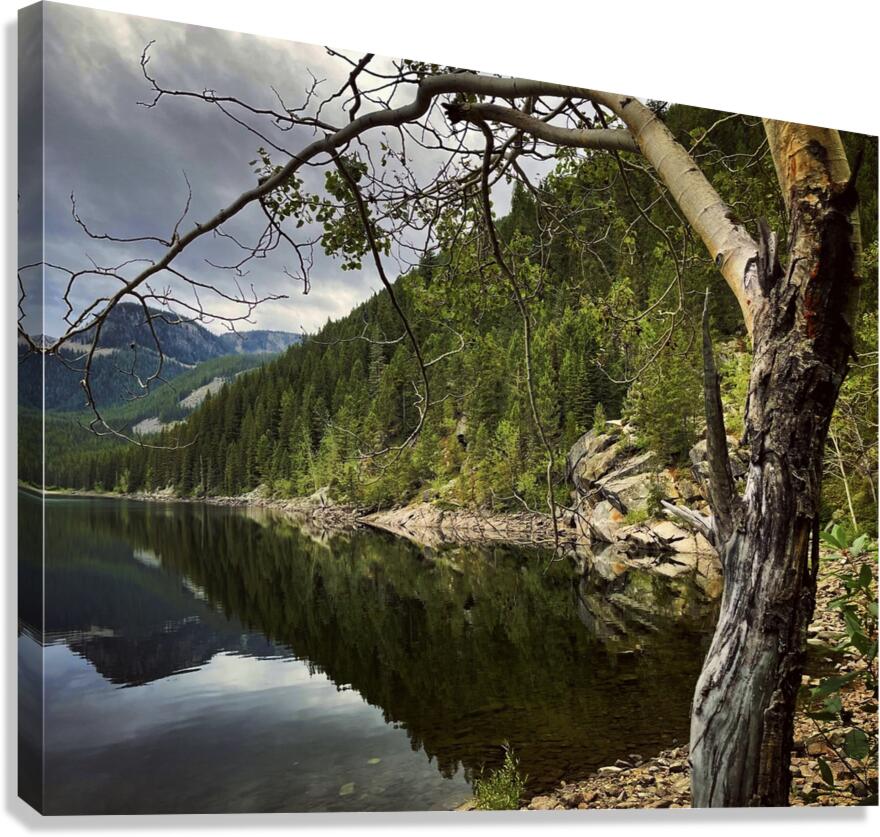 Magic Canvas Print