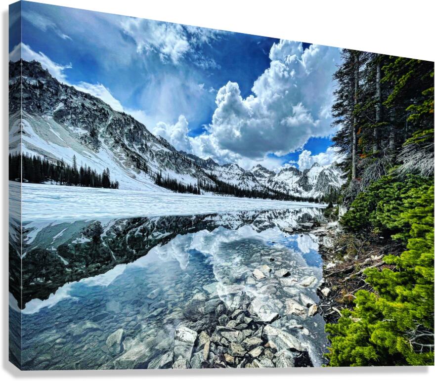 Rough Canvas Print
