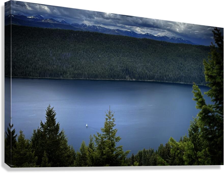 Away Canvas Print