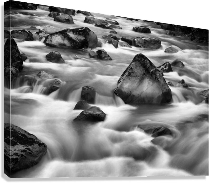 Raw Canvas Print