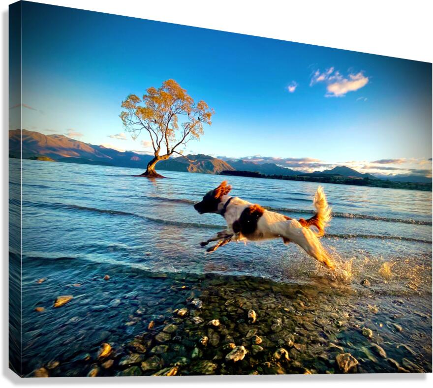 Happiest Dog Canvas Print