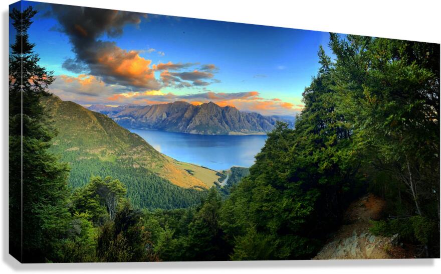 Peaking Through Canvas Print