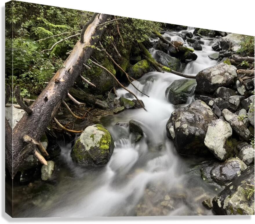 Rolling Canvas Print
