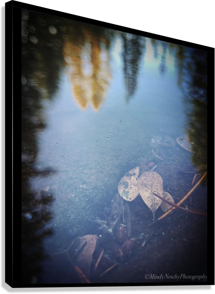 Lost or Found Canvas Print