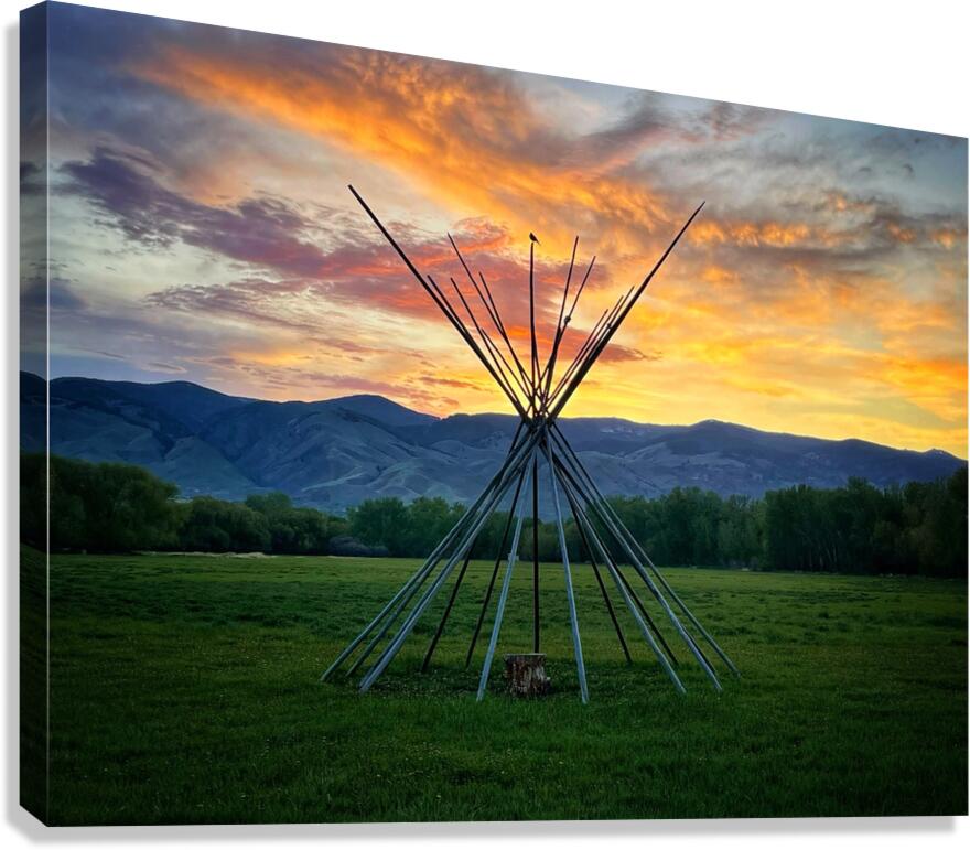 Teepee Bird Canvas Print