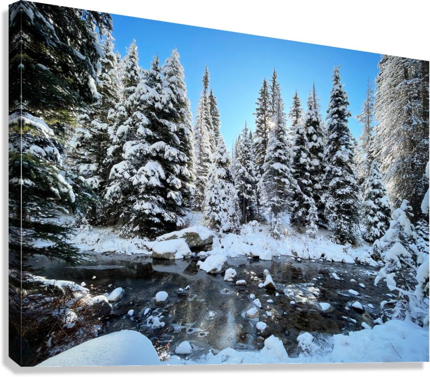 Snowslide Trailhead Canvas Print