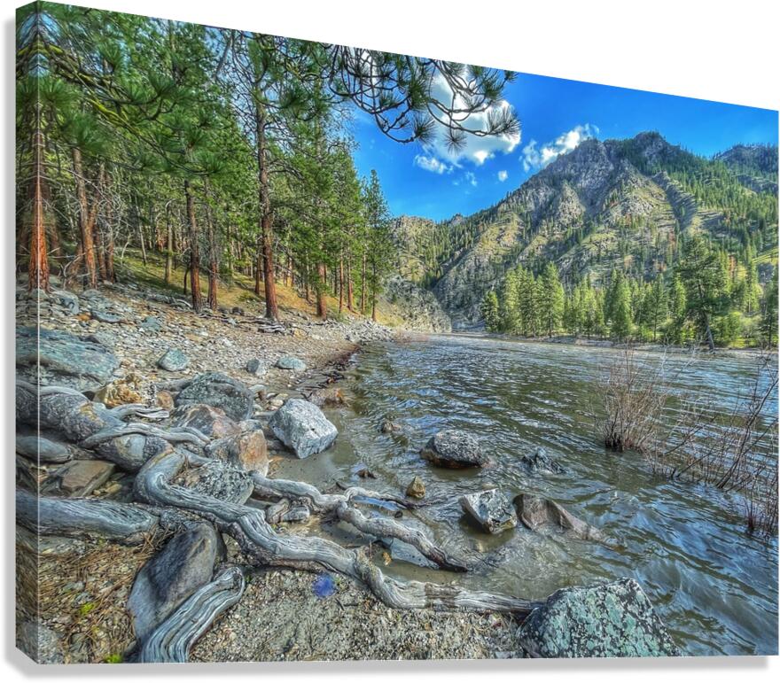 Down river Shoup Canvas Print