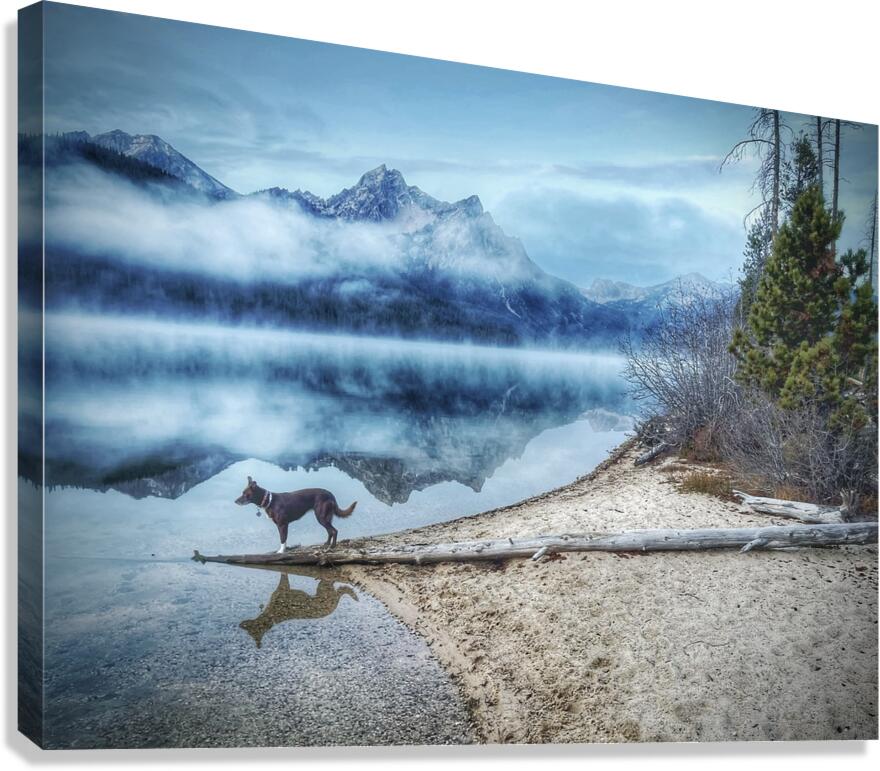 Lone Ranger Canvas Print