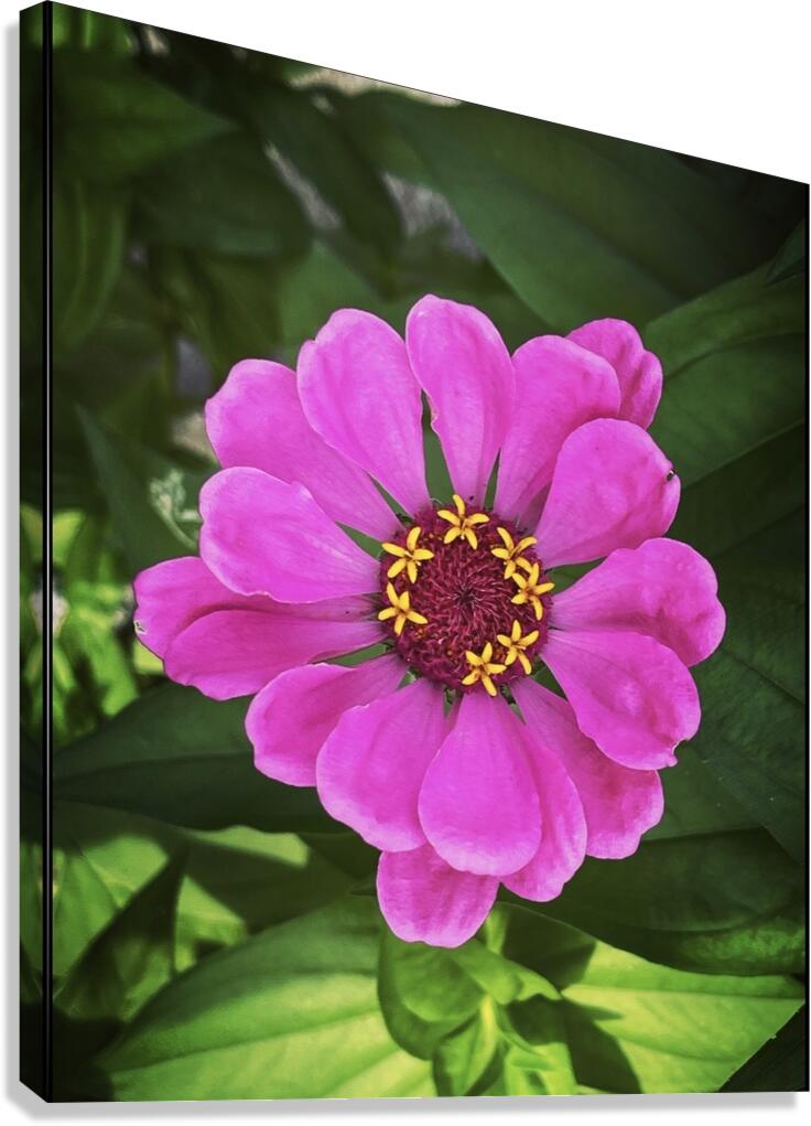 Happiest Canvas Print