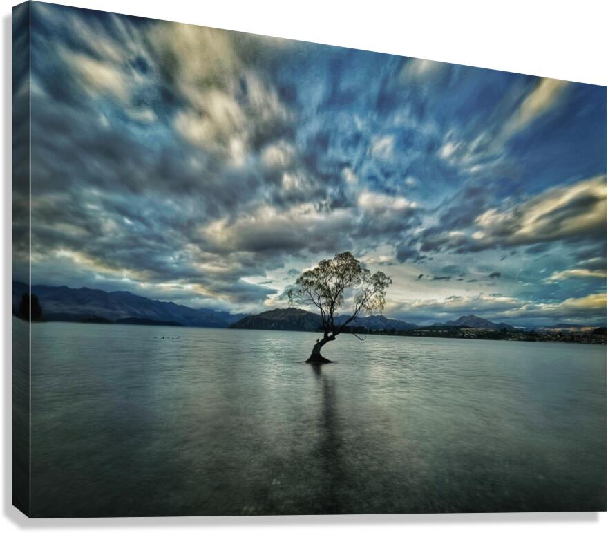 New Beginnings Canvas Print