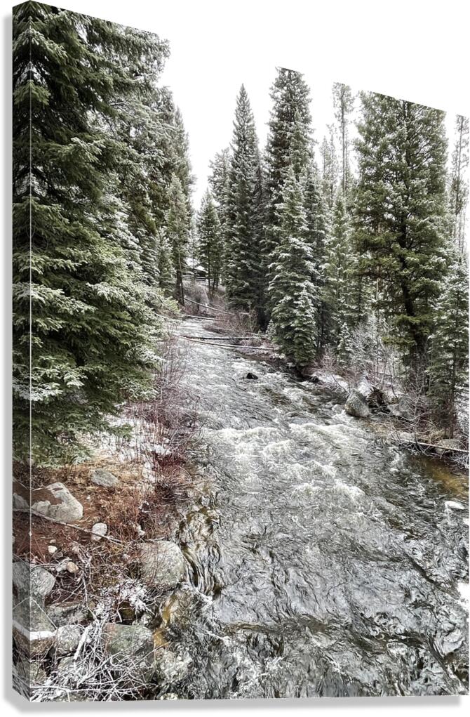 Winter Stream Canvas Print
