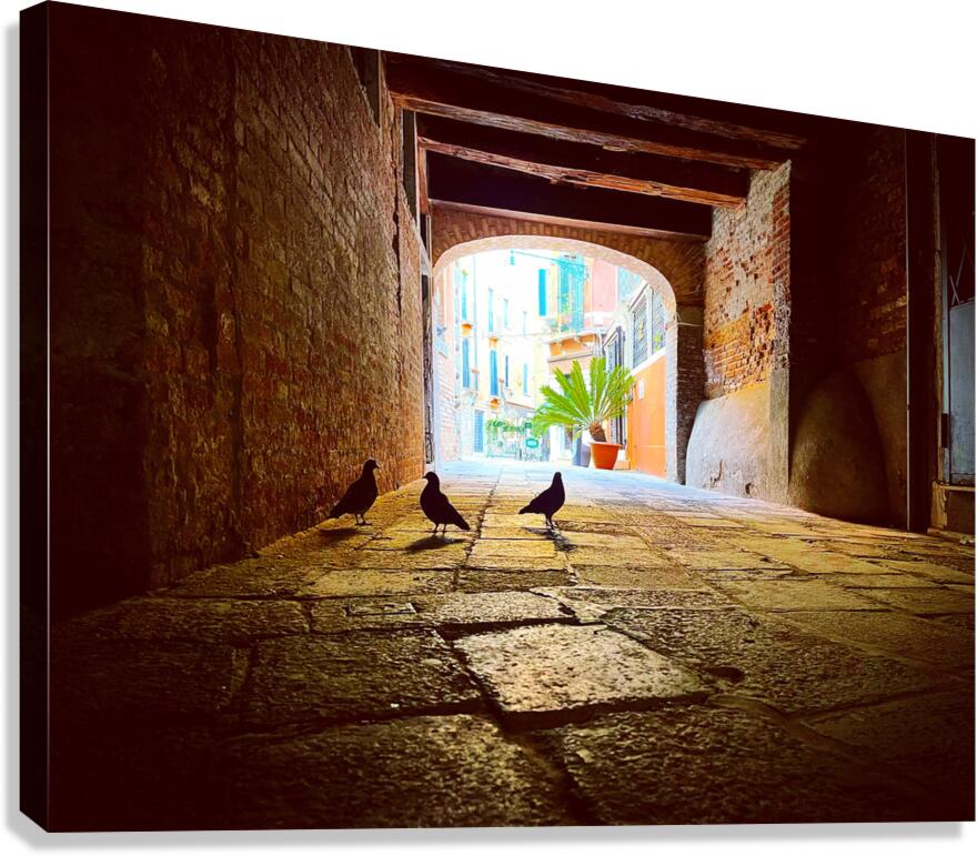 Small Talk Canvas Print