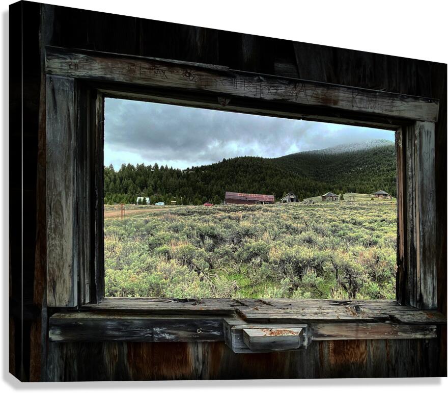 Looking Past Canvas Print