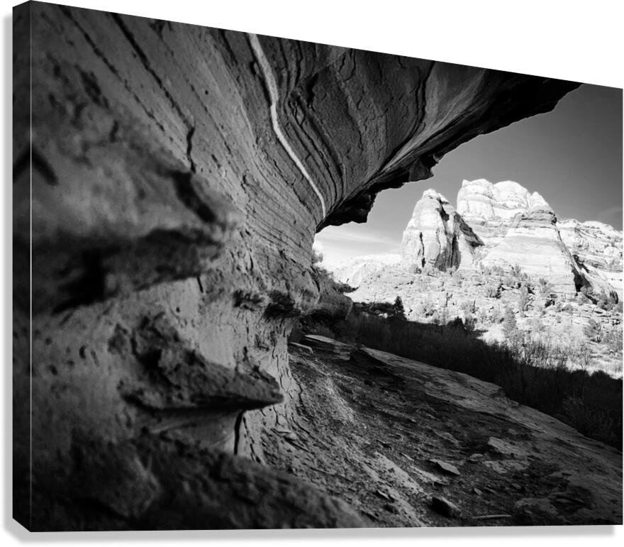 Wedge BW Canvas Print