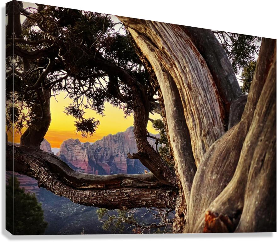 Sedona Views Canvas Print
