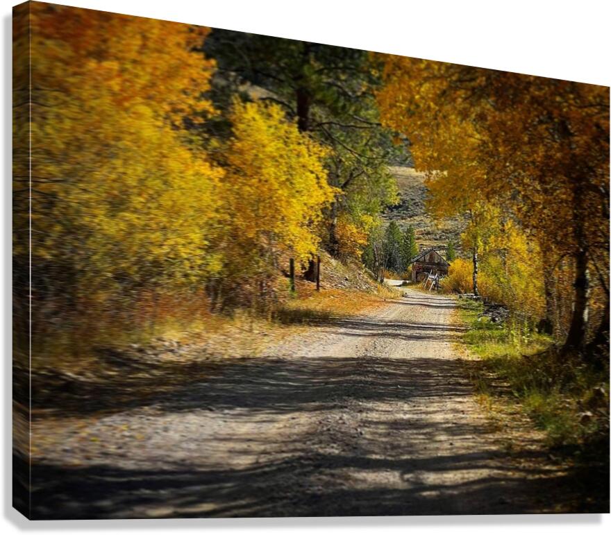 Backroads Canvas Print