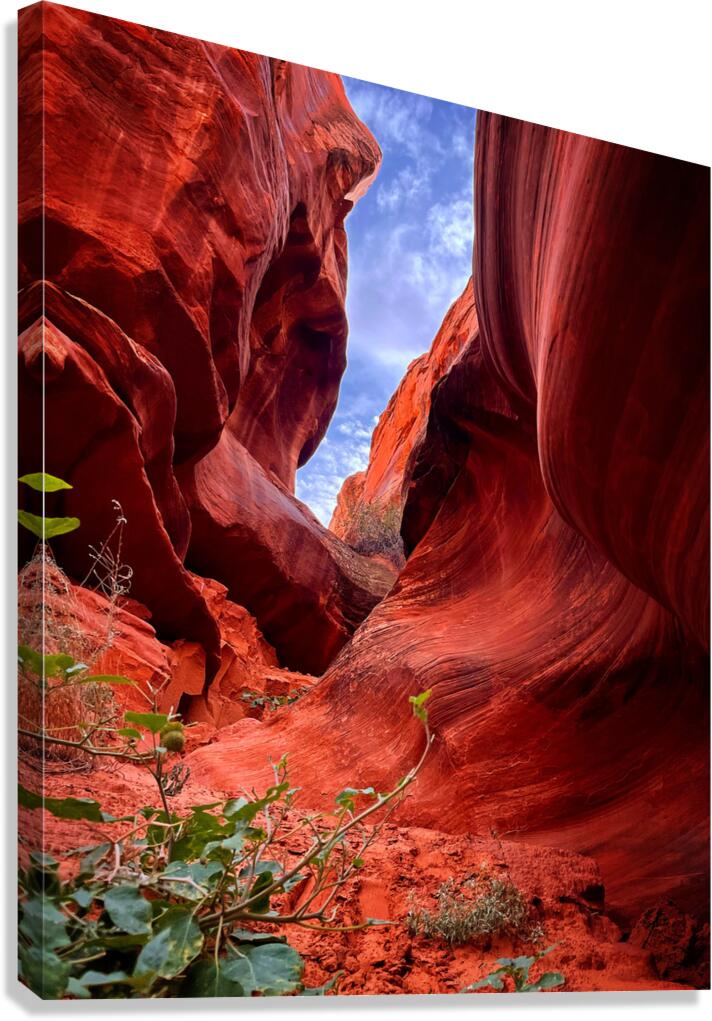 love Canvas Print
