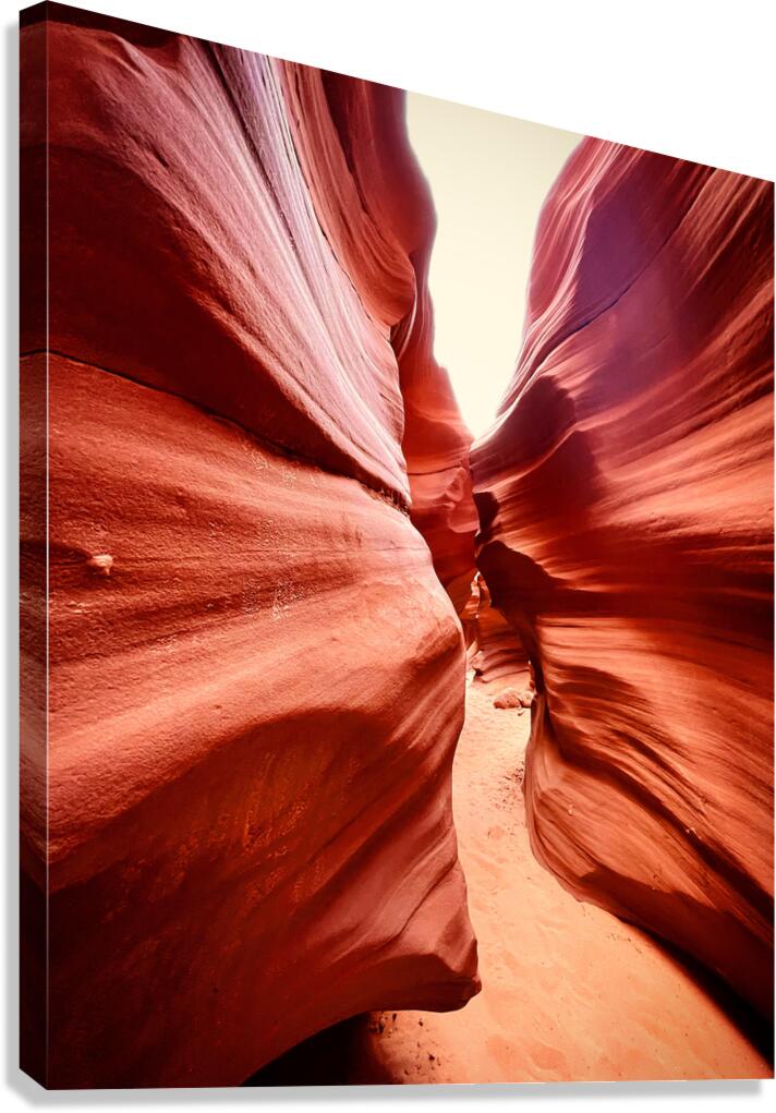 Scream Canvas Print
