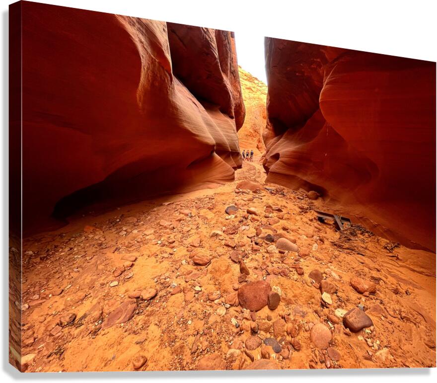 Treasures Canvas Print