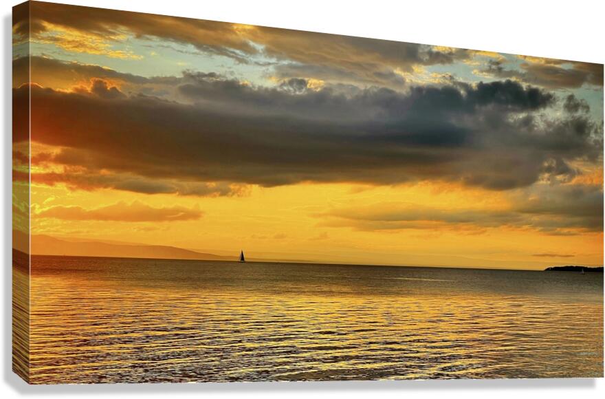 Set Sail Canvas Print