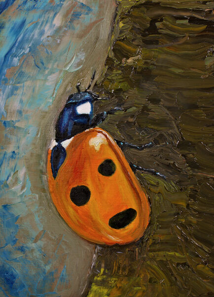 Lady bug by Lidu Montero