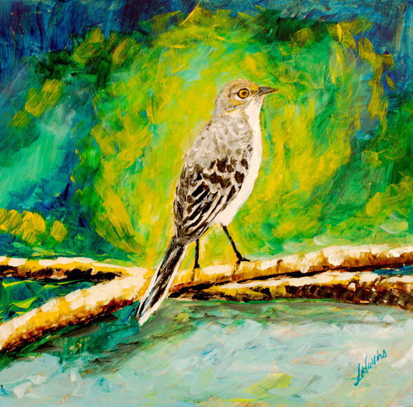 Mocking Bird by Lidu Montero