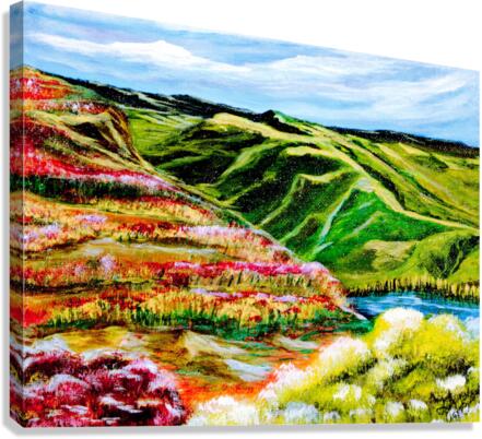 Red Slope Canvas Print