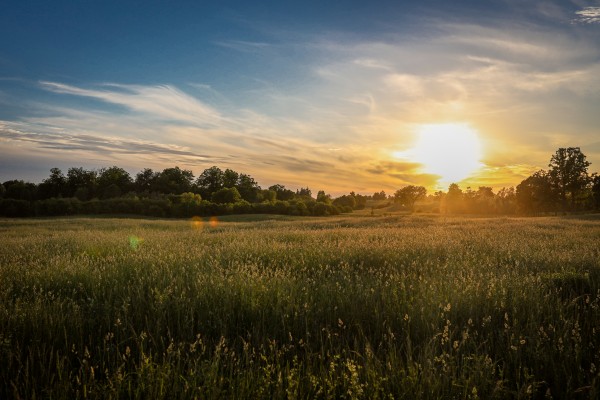 Creekside Sunset 1 by Victor Rose Photo