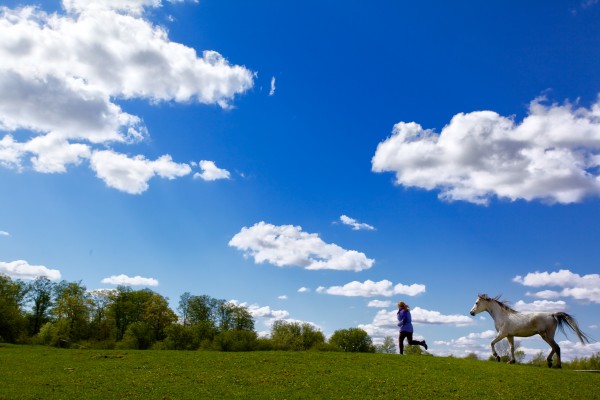 United at Last by Victor Rose Photo