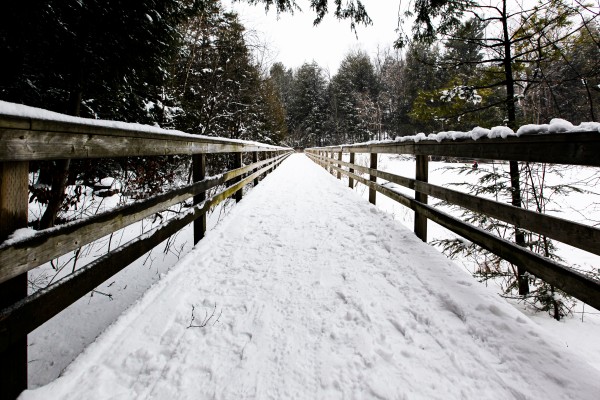 The Boardwalk by Victor Rose Photo